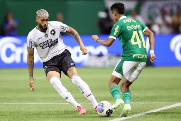 Barboza e Estêvão em partida entre Botafogo e Palmeiras pelo Brasileirão
