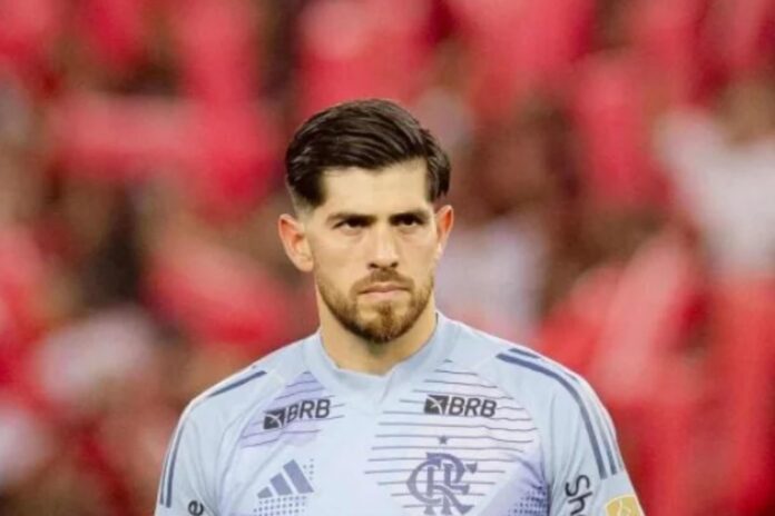 Goleiro Rossi em ação pelo Flamengo