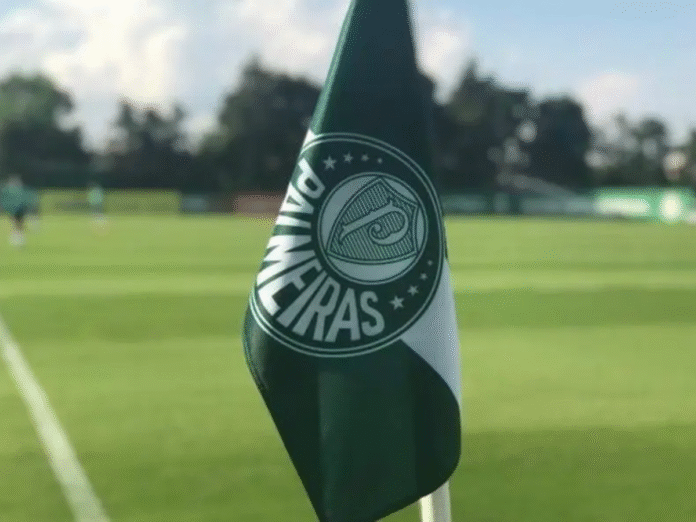 Sociedade Esportiva Palmeiras (SEP) - Foto: Divulgação