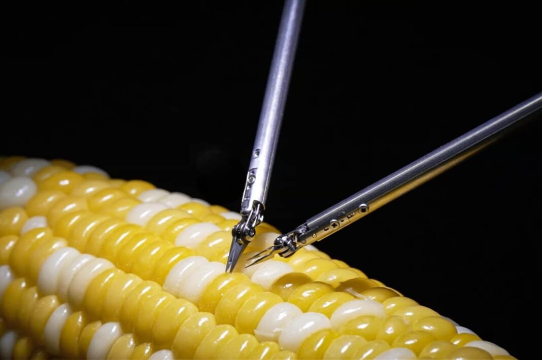 Vídeo com robô da Sony fazendo ‘cirurgia’ em grão de milho viraliza nas redes sociais