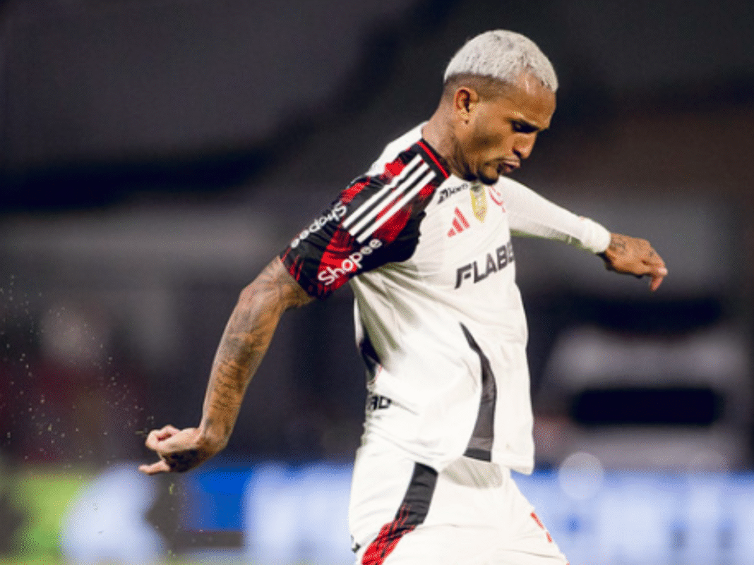 Flamengo ultrapassa Cruzeiro; veja as chances de título do Brasileirão 2025
