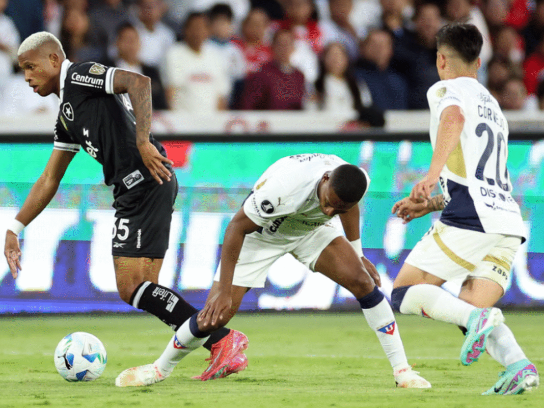 Rival do Botafogo provoca o time após eliminação na Libertadores