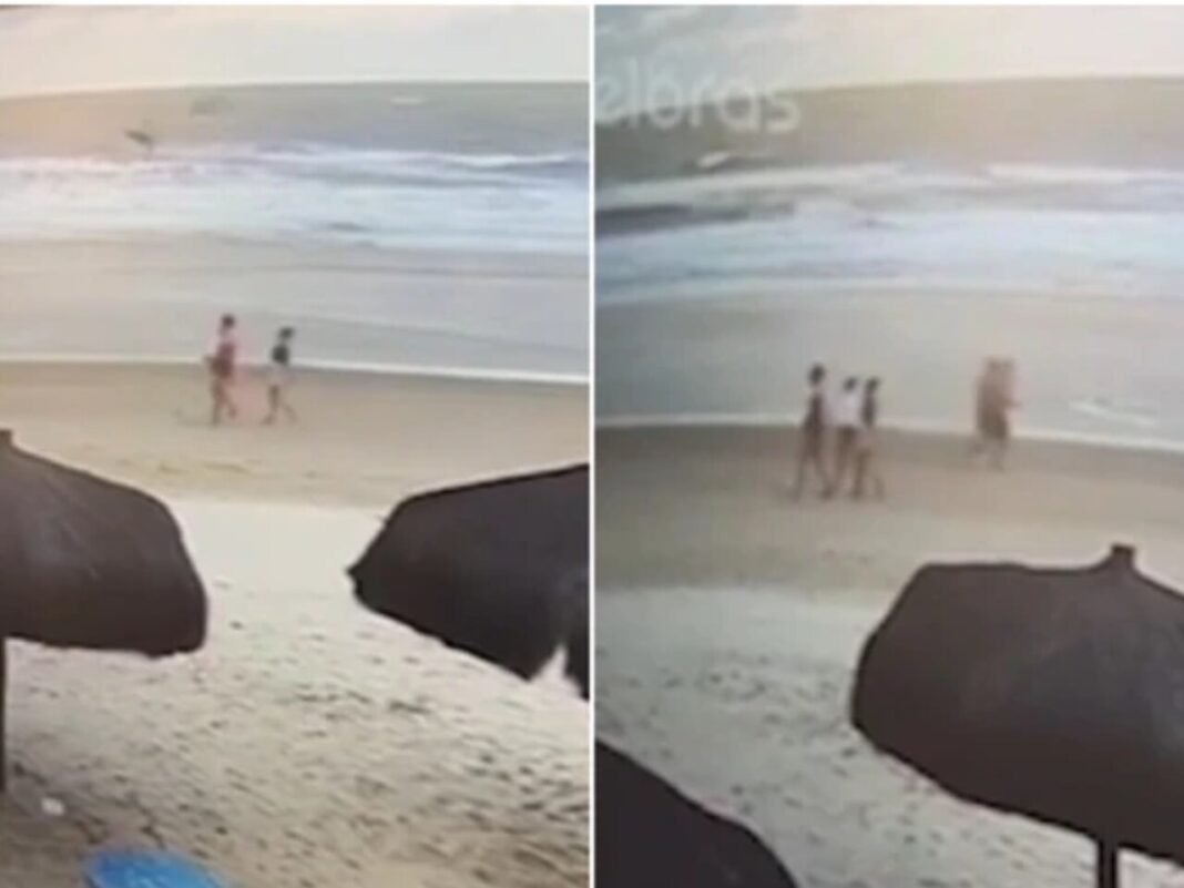 Ilhéus: quem são as mulheres mortas durante um passeio com cachorro