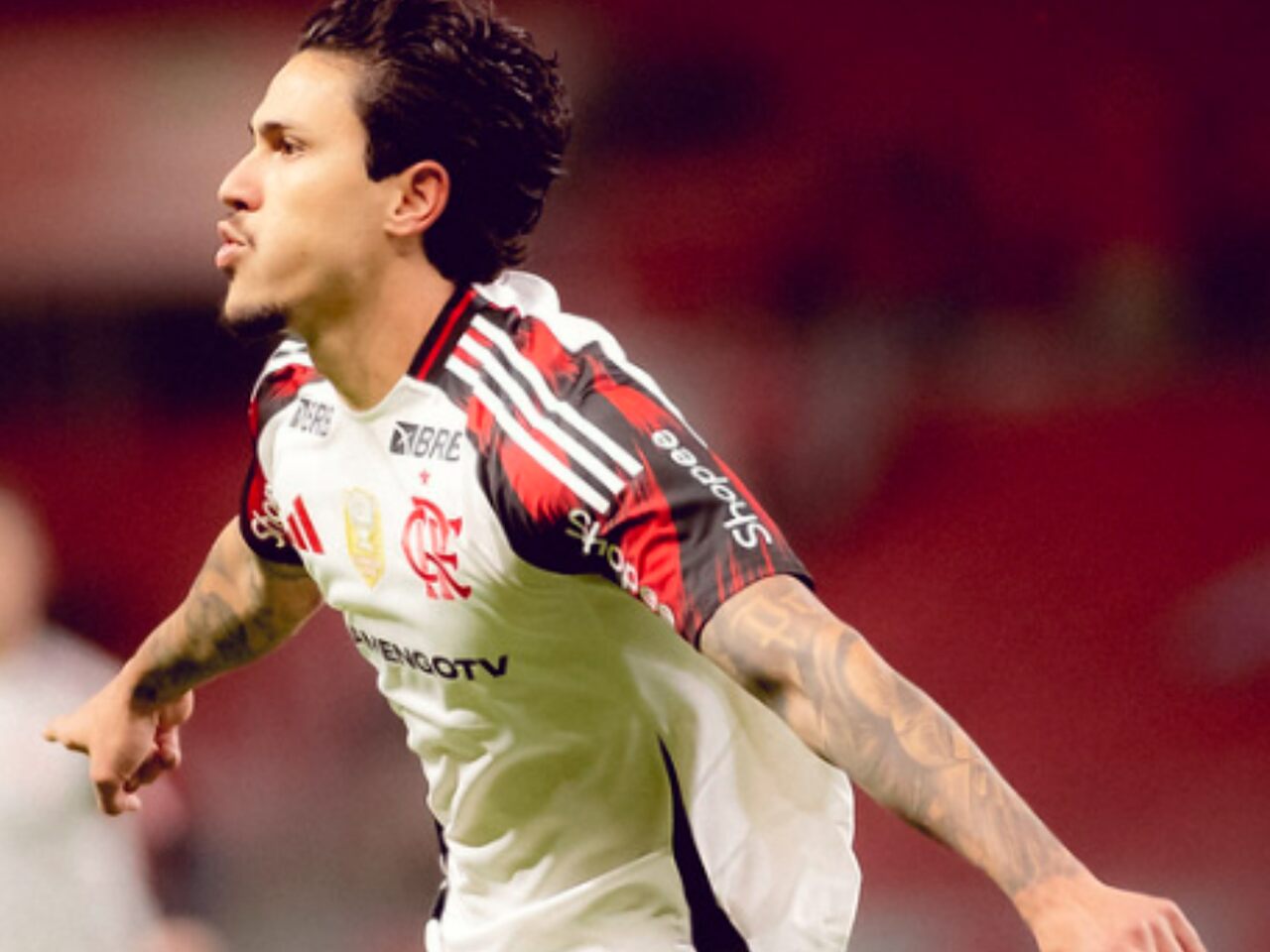 Foto: Adriano Fontes/CRF)