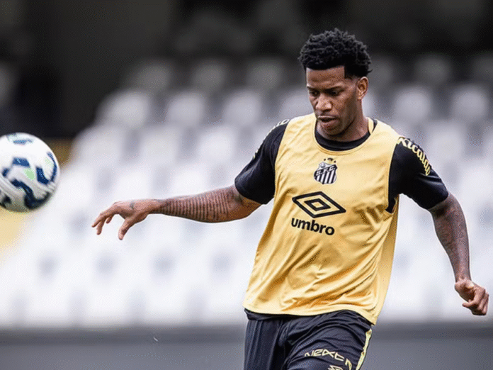 Gil - Santos (Foto: Raul Baretta/ Santos FC) Gil - Santos (Foto: Raul Baretta/ Santos FC)