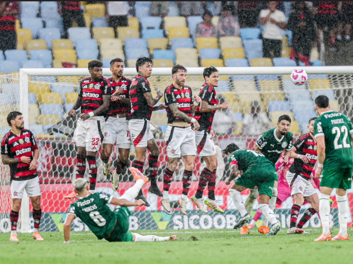 Flamengo x Palmeiras - 29ª rodada do Brasileirão (Foto: Gilvan de Souza/Flamengo)