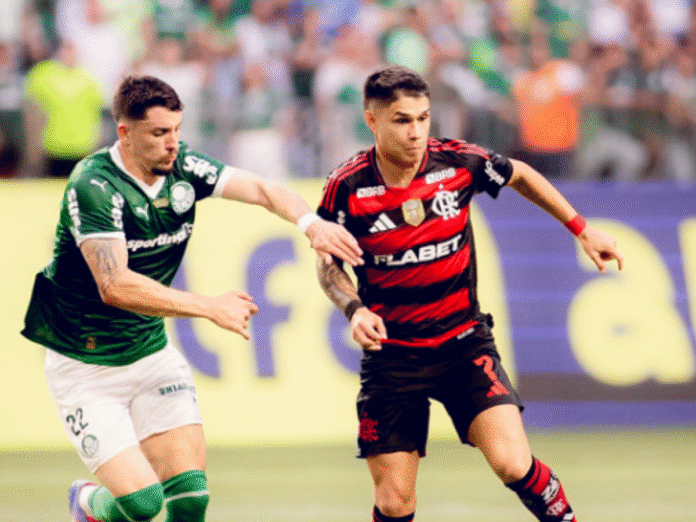Flamengo x Palmeiras (Foto:Adriano Fontes/Flamengo)