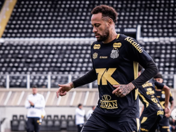 Neymar (Foto: Raul Barreta/Santos)
