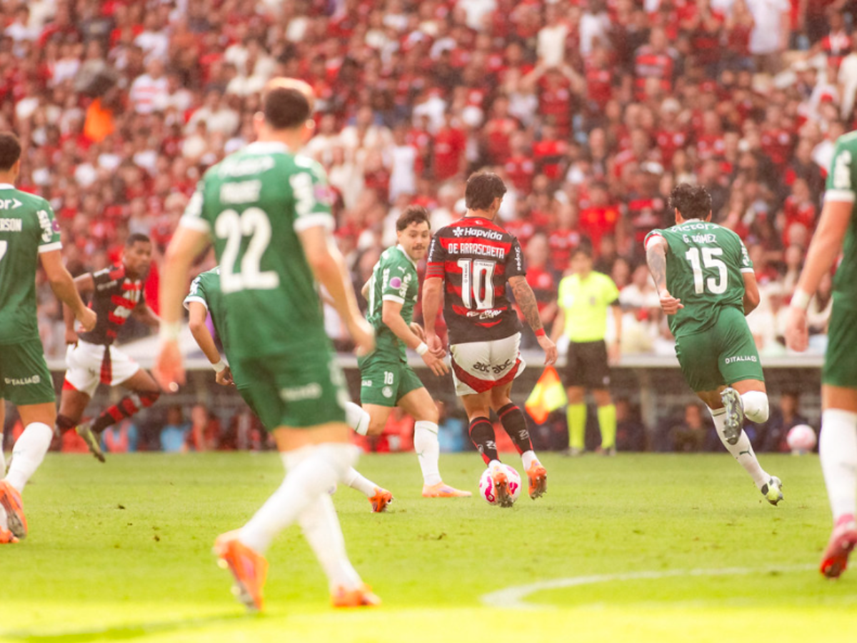 Flamengo x Palmeiras pelo Brasileirão (2)