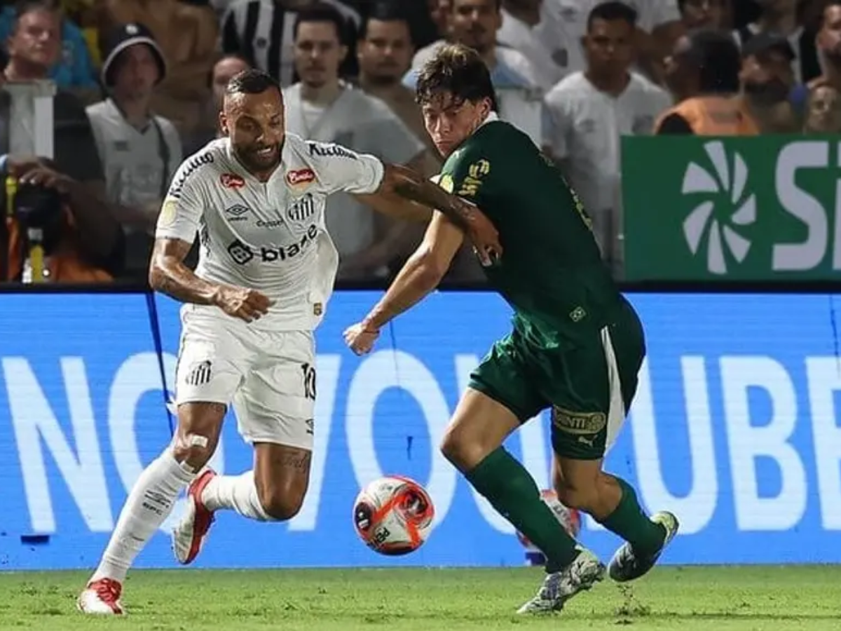 Palmeiras x Santos (Foto: Cesar Greco/Palmeiras)