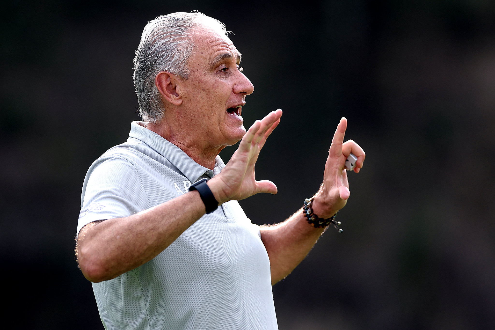 STJD divulga resultado do julgamento de Tite, do Botafogo STJD divulga resultado do julgamento de Tite, do Botafogo